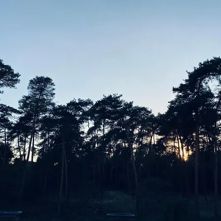 Kleine Pfalz-Perle Birkenweg Speyer Buitenkant foto